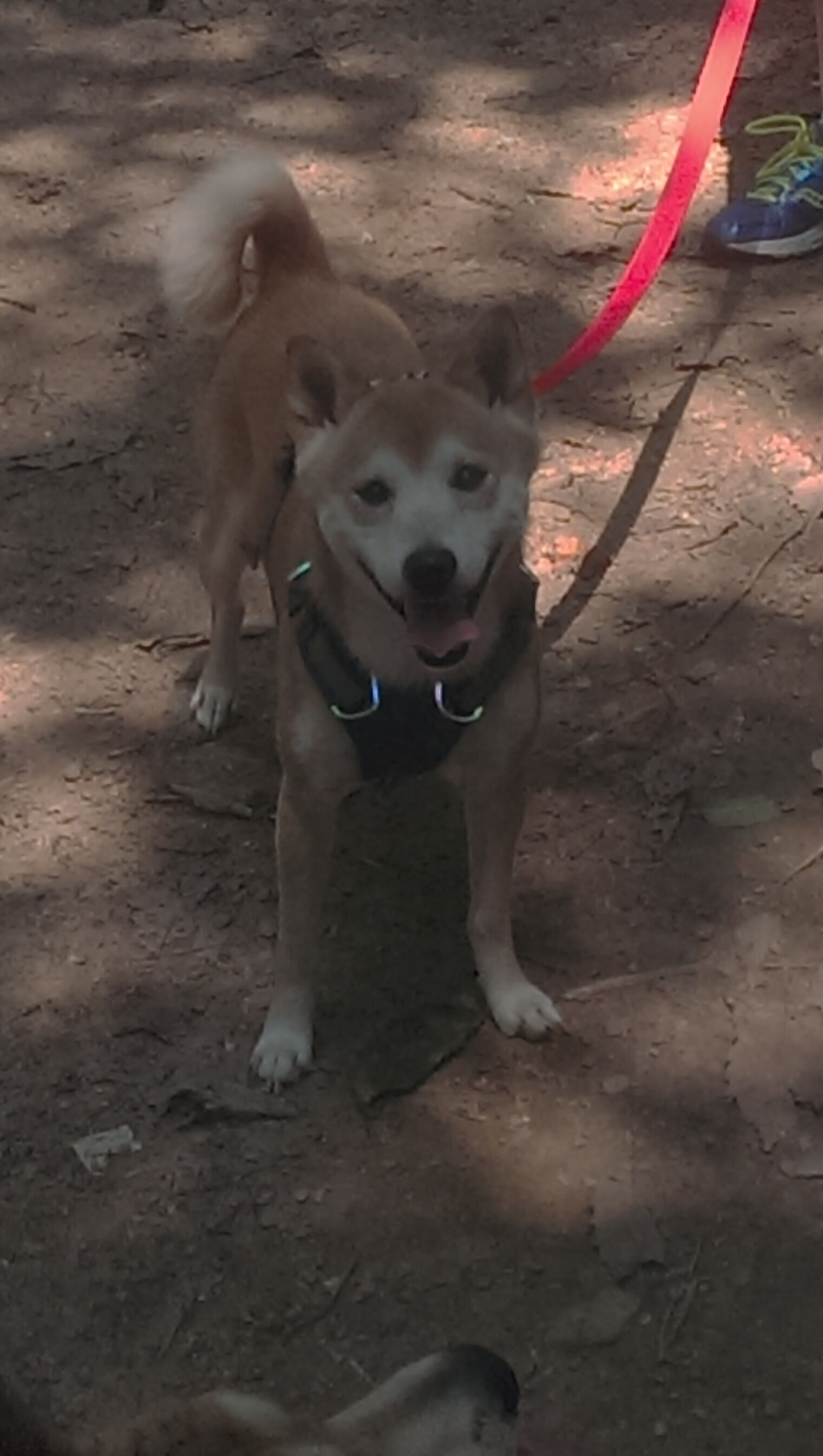 NBA常规赛最闪光的个人瞬间盘点，nba常规赛最闪光的个人瞬间盘点是什么