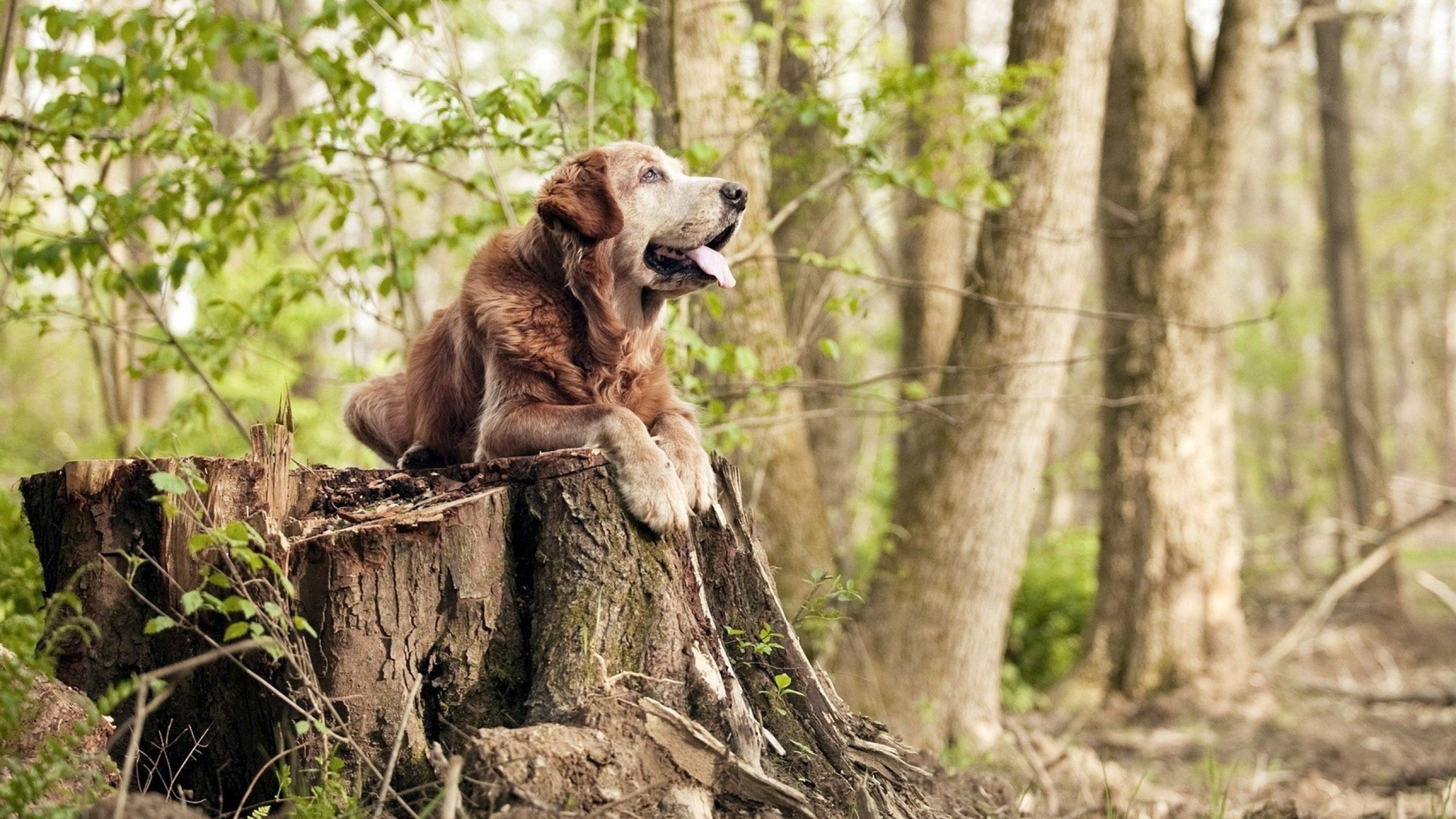台球运动的公益事业:助力青少年健康成长,台球活动的营销活动方案