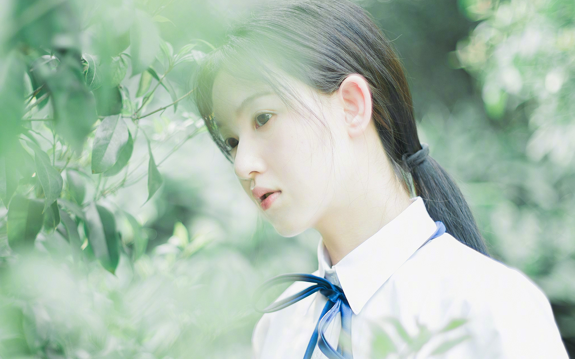 气动设计革新:提升空气动力效率,气动装置设计