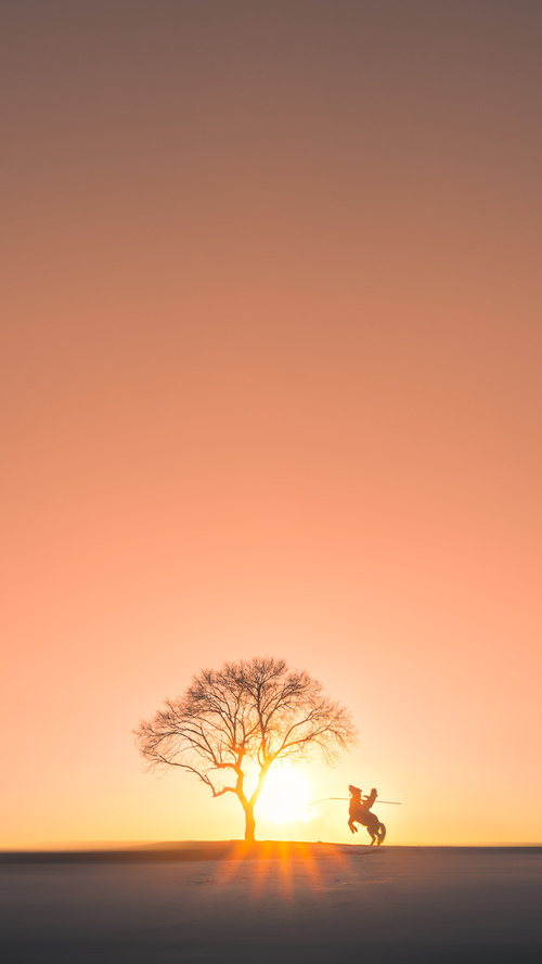 JIUYOU GAMING-特色篮球赛事通过VR技术实现虚拟比赛，体验沉浸感，虚拟篮球如何对冲