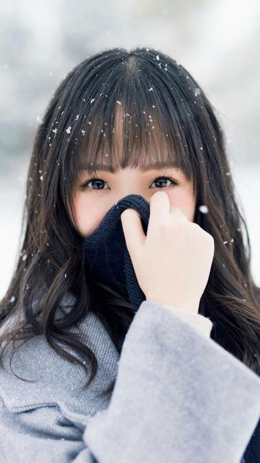 西班牙马术代表队引入先进的马匹护理技术,提升马匹健康水平。