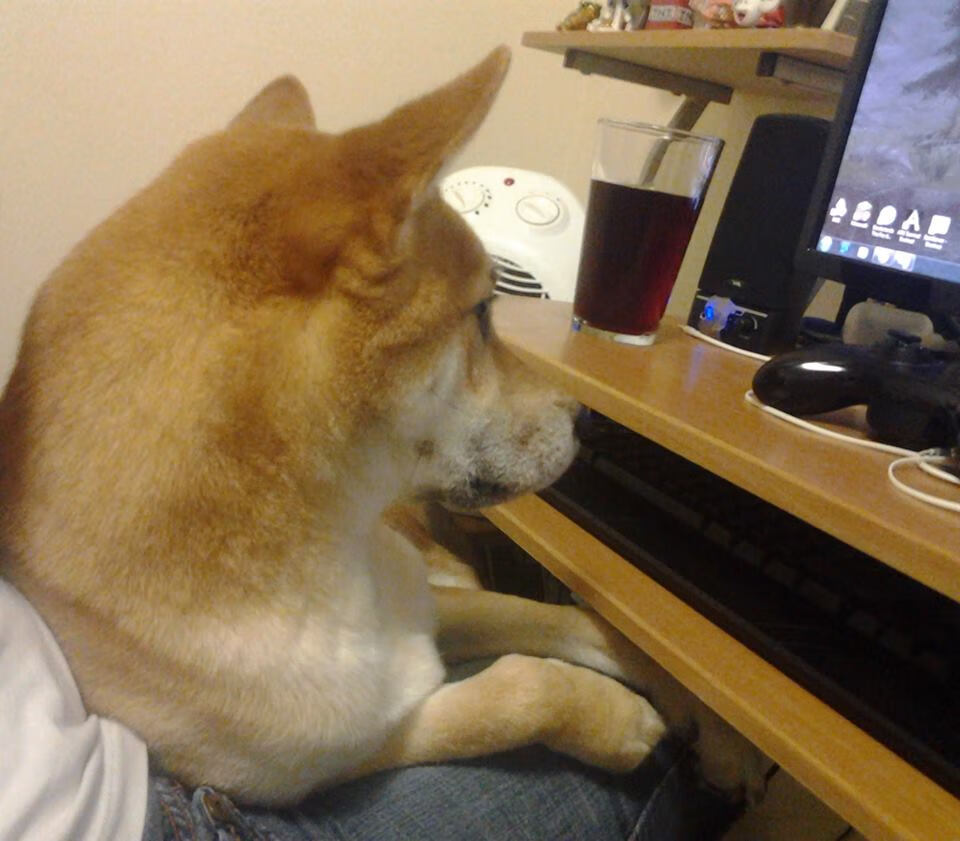 青少年足球校际比赛精彩纷呈,培养新鲜血液,青少年校园足球联赛规程