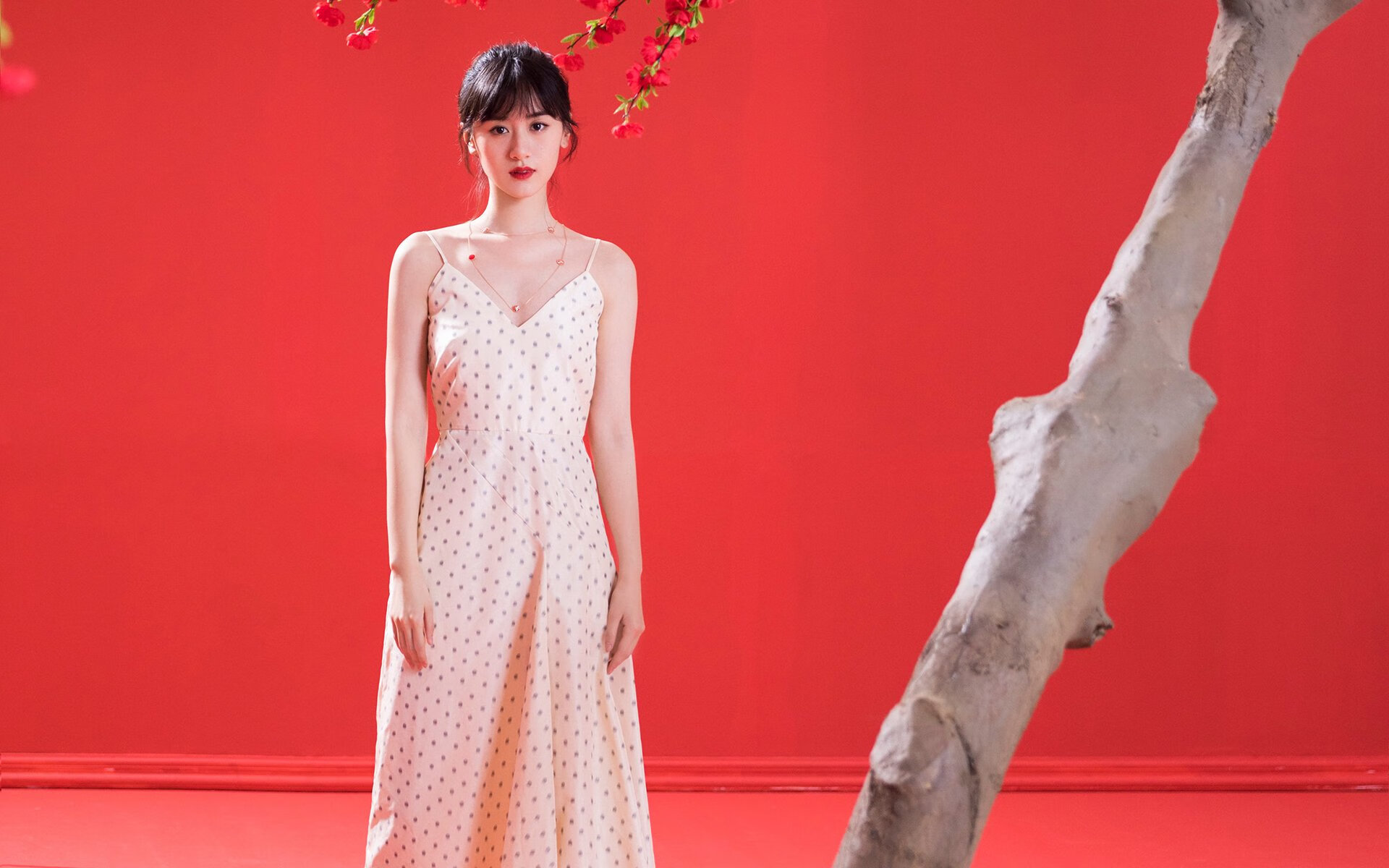 CNN头条:冬奥最具冲击力球队——来自西非的雄狮,冬奥会冲刺