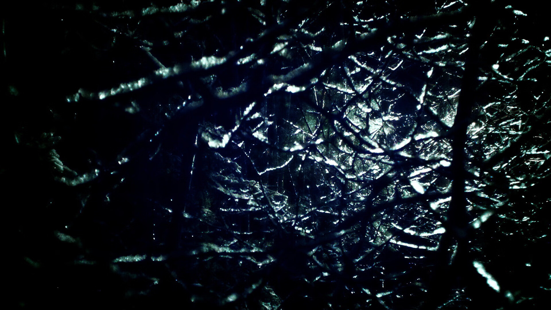 伯恩茅斯险胜保级希望,连胜势头强劲!,伯恩茅斯图片