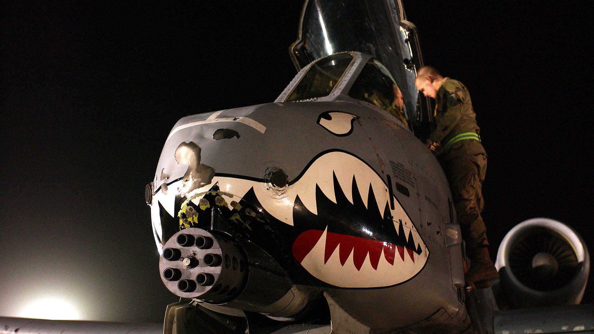 哥伦比亚马术协会举办马匹护理培训班,提高骑手护理技能。,哥伦比亚马拉松