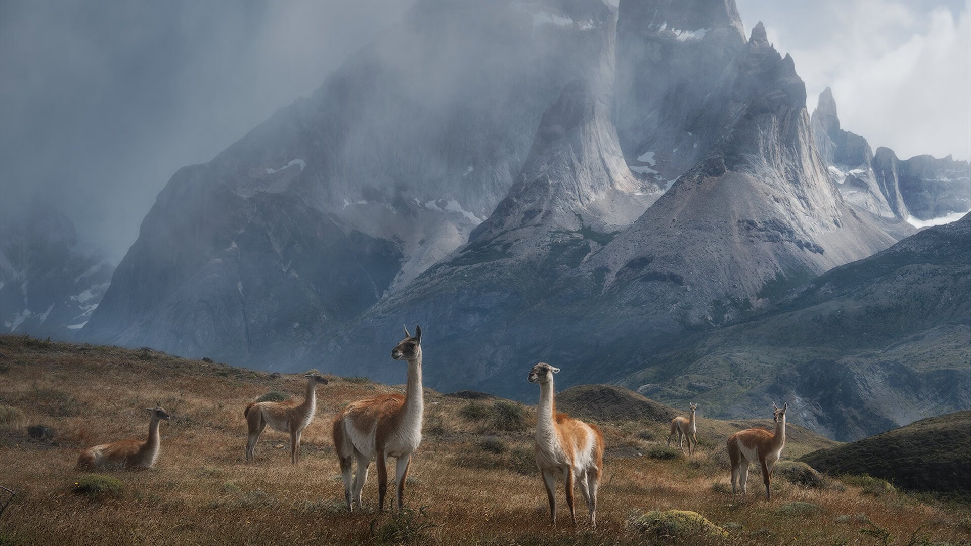 新疆队爆冷淘汰山东,晋级季后赛,新疆队对山东队直播
