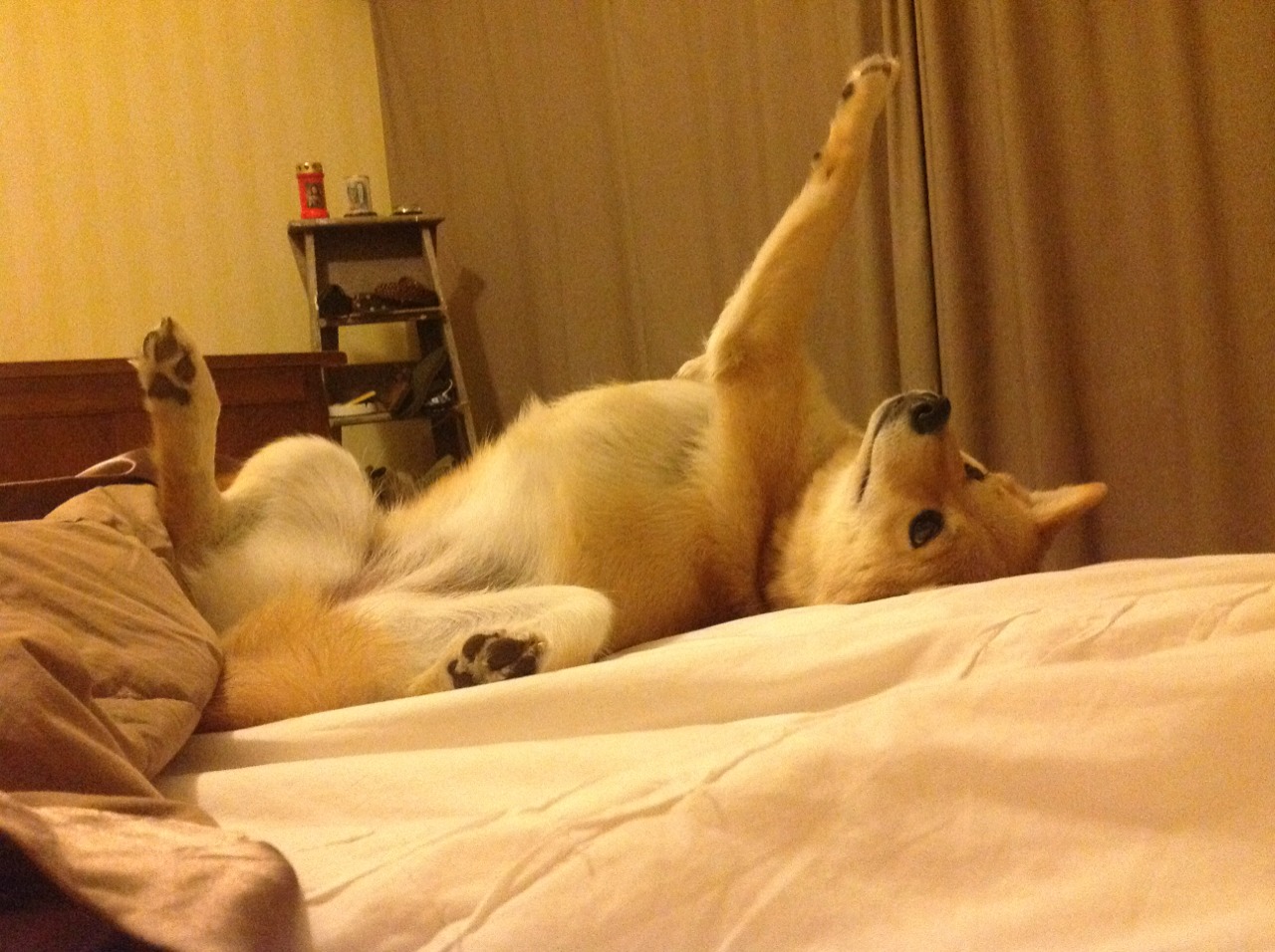 Jiuyou-河床主场连胜不断，河床队直播