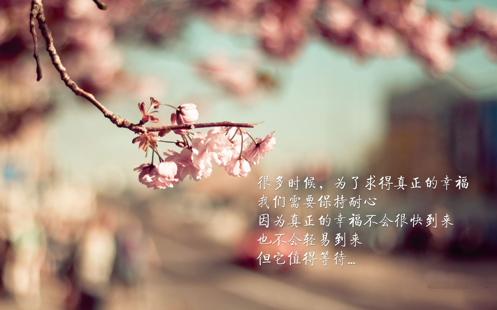 鹈鹕队中锋威廉森半场+惊艳全场,鹈鹕 威廉森