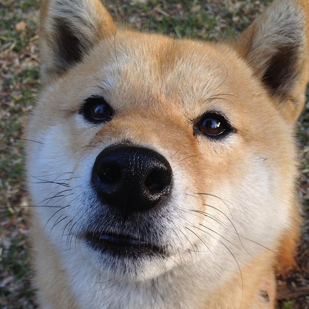 九游游戏中心官网-比利时柔道队在本届奥运会上共获1枚奖牌，柔道比完了吗