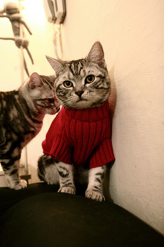 国足不同比赛类型技战术布置方式比较,国足的战术