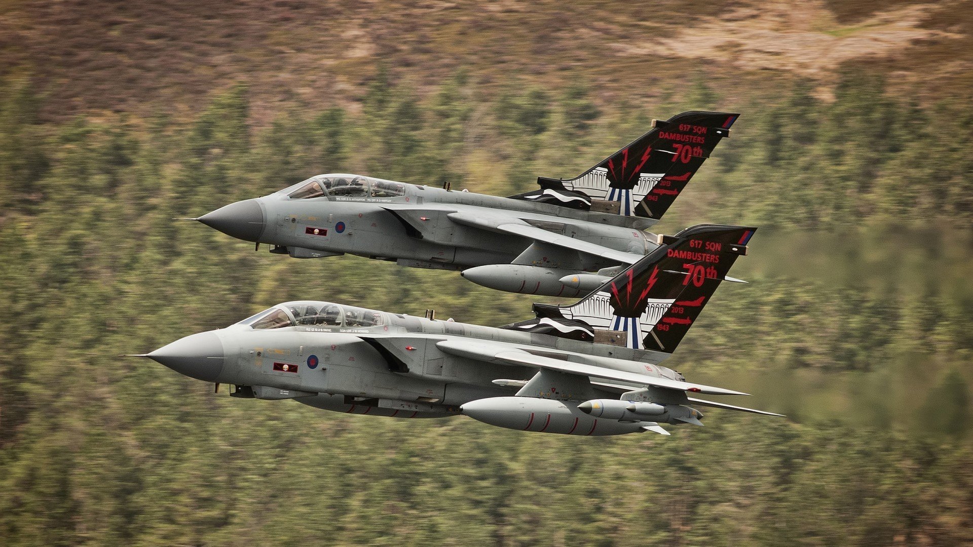 校园体育活动与学生团队协作能力培养,校际体育活动方案