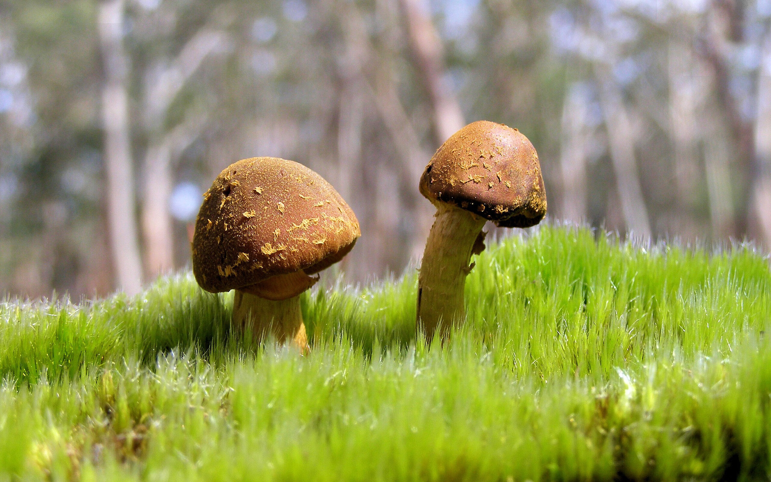 CBA球队完善体能监控系统保障比赛状态,cba体测是什么意思