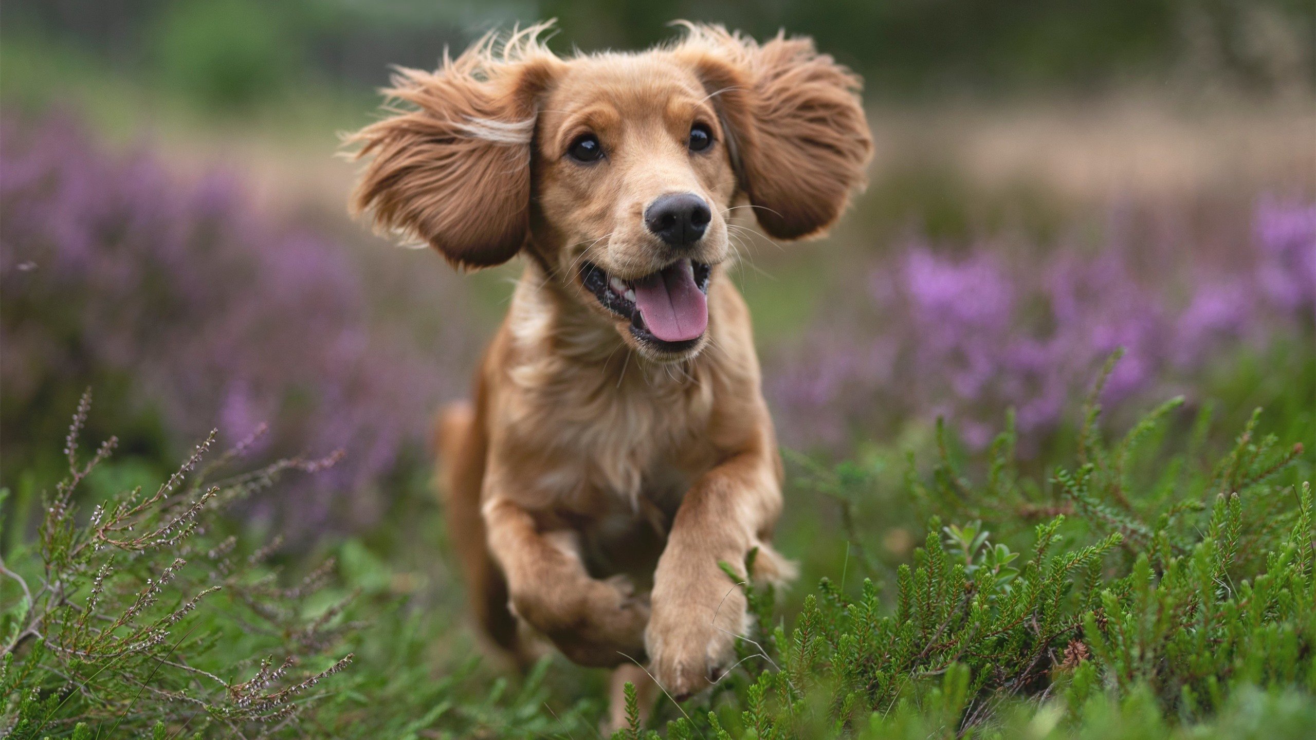 九游app下载中心-中国三人篮球男队积极备战冲击奥运资格，中国男子三人篮球运动员