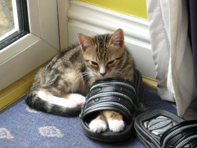 九游sports-国际乒联发布2024混合团体世界杯赛制新规，国际乒联发布2024混合团体世界杯赛制新规定