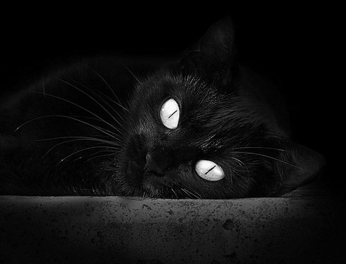 CBA球队实施分阶段体能评估保障比赛稳定输出,cba体测数据_通过率886%