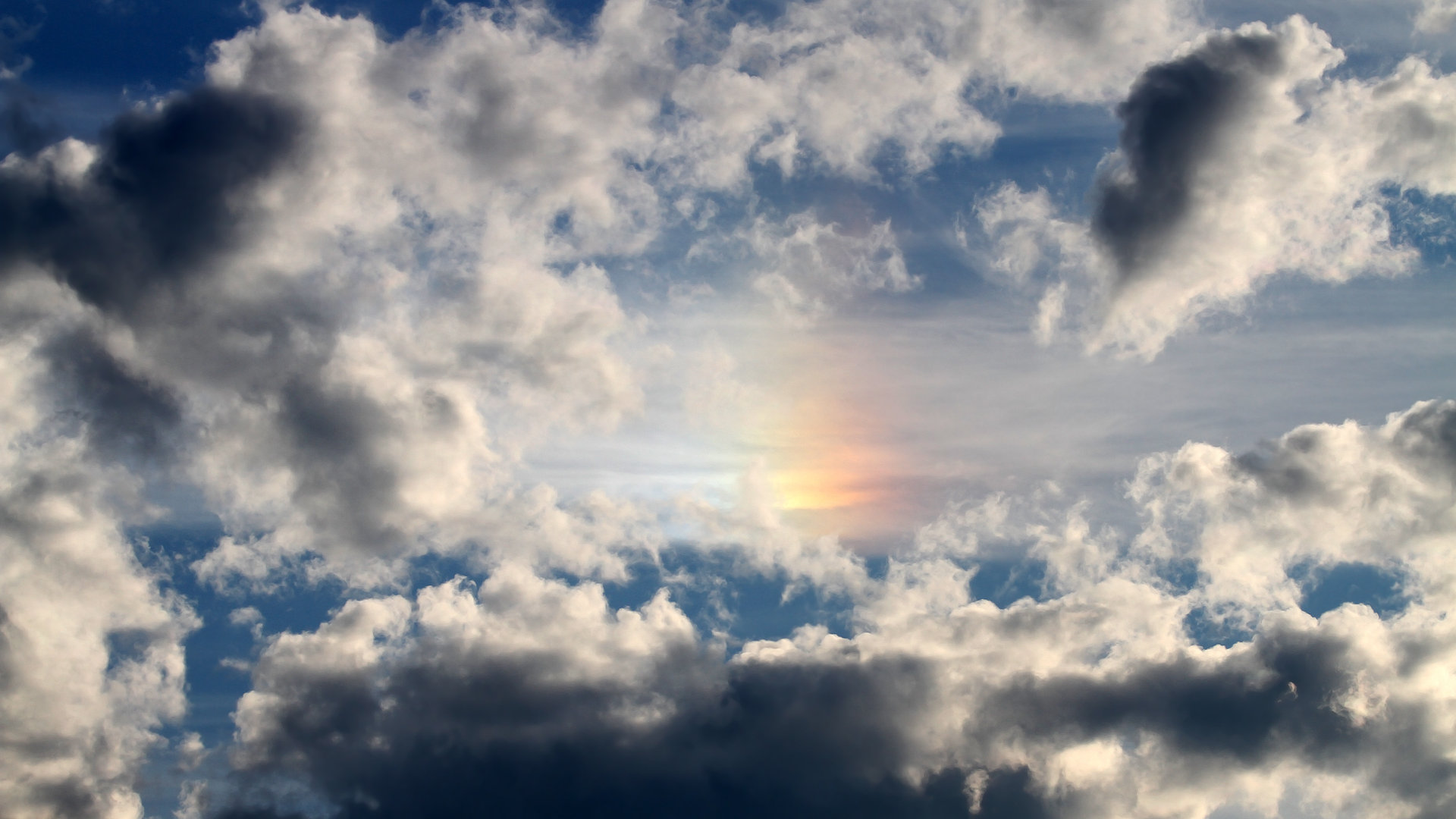 九游网游官网-“埃尔斯·霍斯特：南非队不可或缺的防守核心”