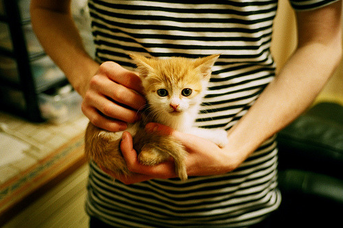 九游网页版官网-弗兰：他是全黑队进攻中的“推动者”，突破后的传球和决策令人惊叹