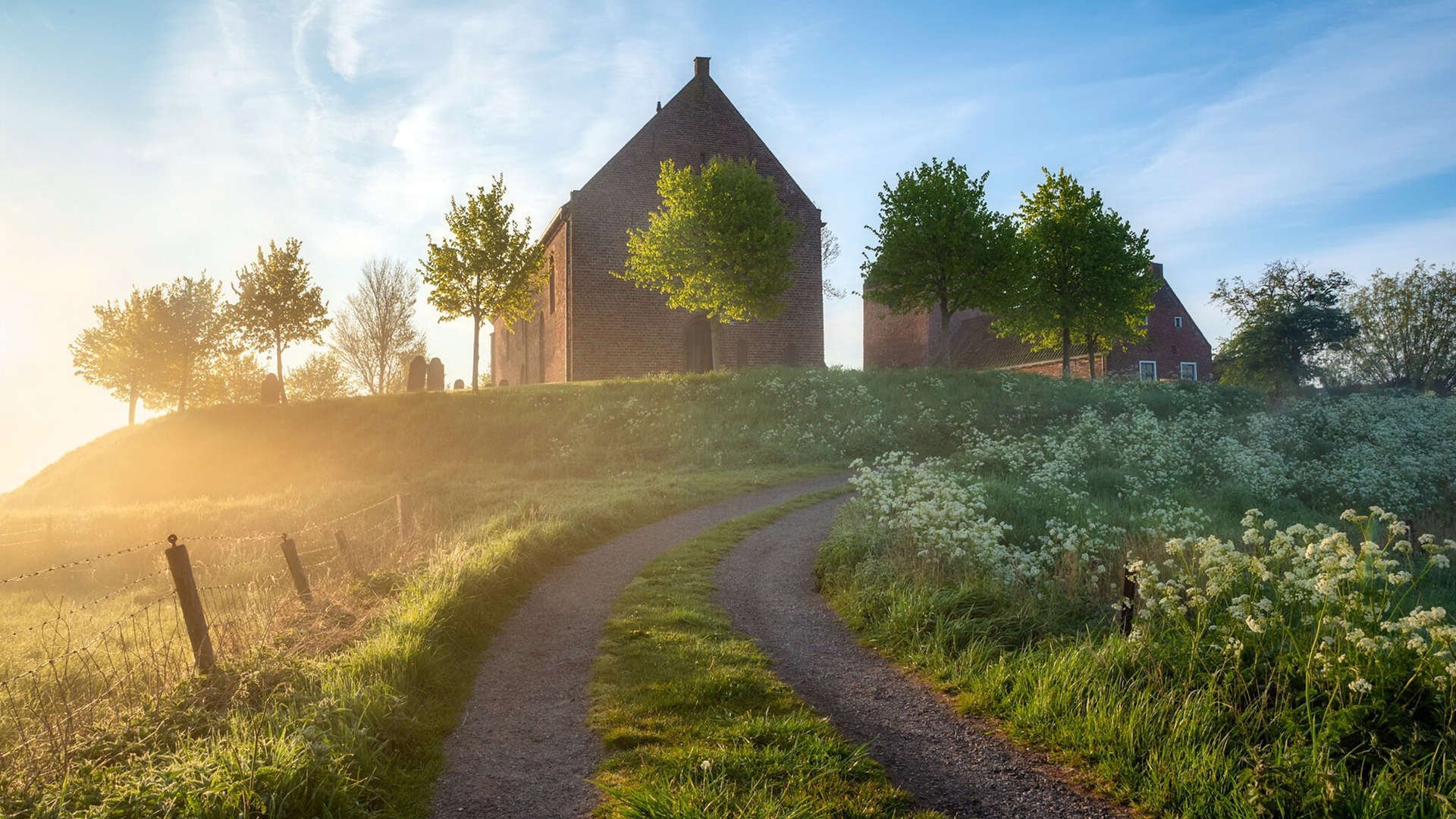 瑞·弗兰：他的防守和传球能力总能在关键时刻帮助全黑队创造胜机