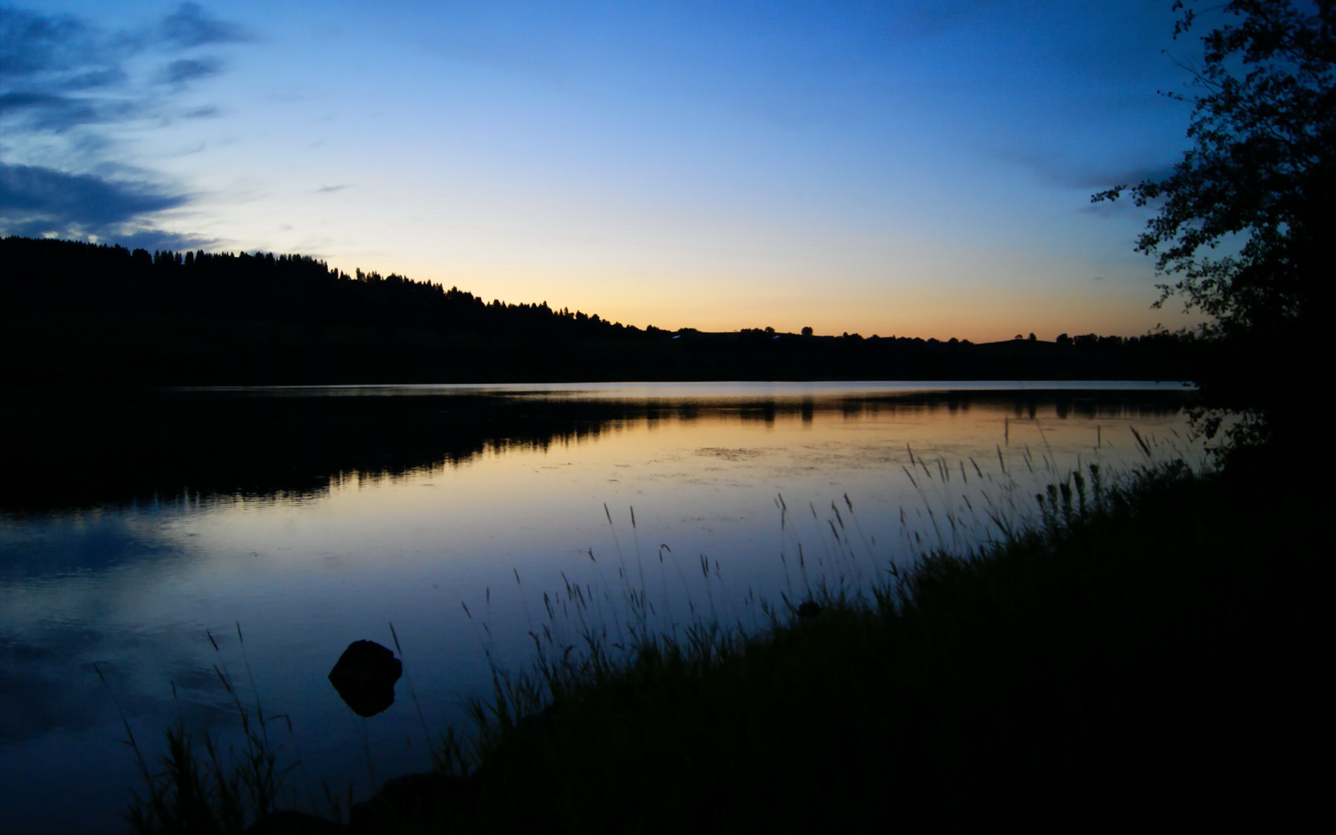 青训选拔采用匿名测试机制保障公平选拔流程